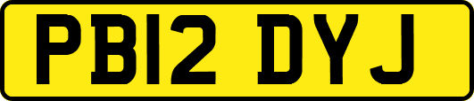PB12DYJ