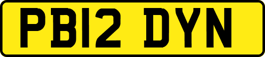 PB12DYN