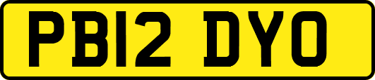 PB12DYO