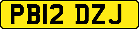 PB12DZJ