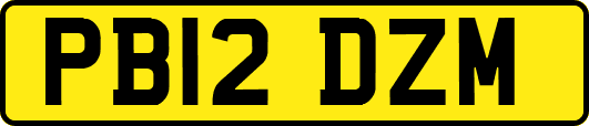 PB12DZM