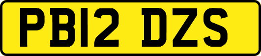 PB12DZS