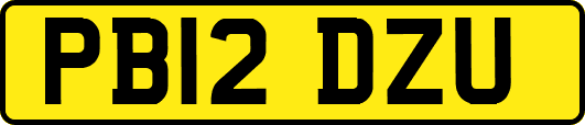 PB12DZU