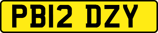 PB12DZY