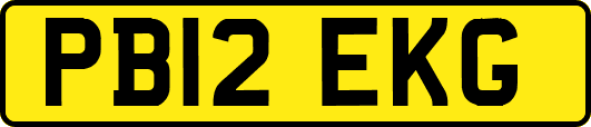 PB12EKG