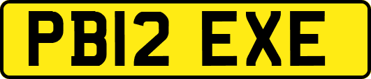 PB12EXE