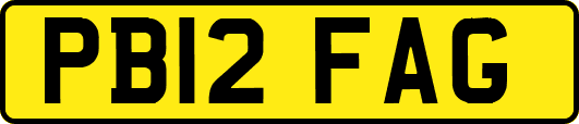 PB12FAG