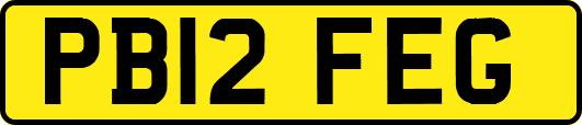 PB12FEG