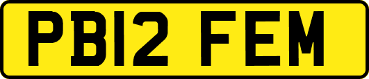 PB12FEM
