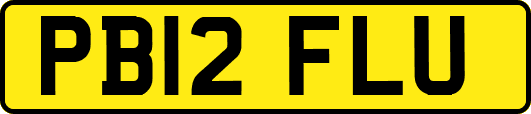 PB12FLU