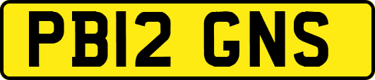 PB12GNS