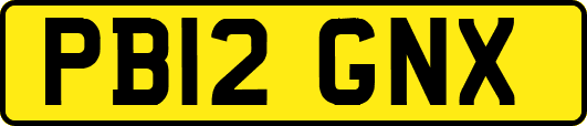 PB12GNX