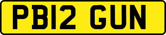 PB12GUN