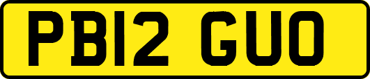 PB12GUO