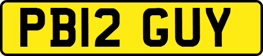PB12GUY