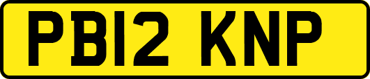 PB12KNP