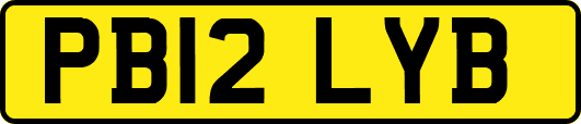 PB12LYB