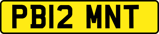 PB12MNT