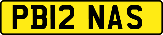 PB12NAS