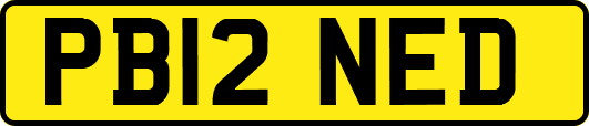 PB12NED