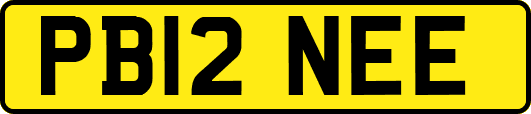 PB12NEE