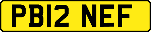PB12NEF