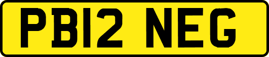 PB12NEG