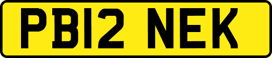 PB12NEK