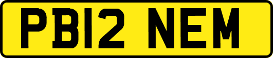 PB12NEM