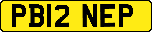PB12NEP