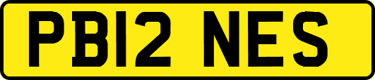 PB12NES