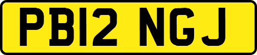 PB12NGJ