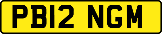 PB12NGM