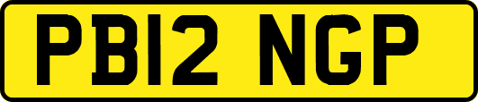 PB12NGP