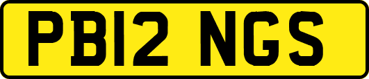 PB12NGS