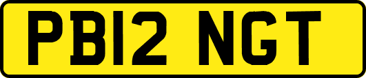 PB12NGT