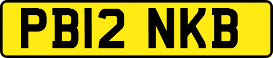 PB12NKB