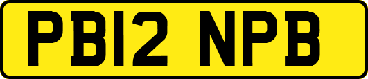 PB12NPB