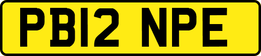 PB12NPE