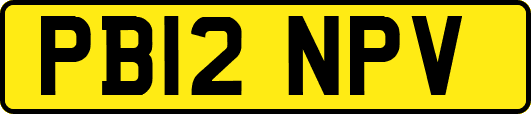 PB12NPV