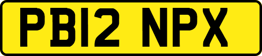 PB12NPX