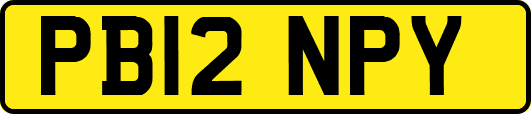 PB12NPY