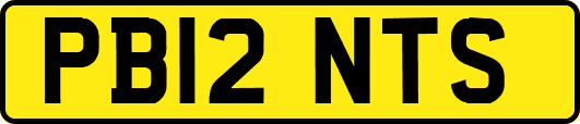 PB12NTS