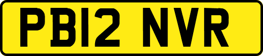PB12NVR