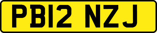 PB12NZJ