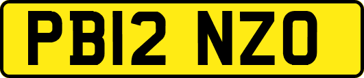 PB12NZO