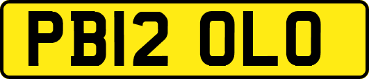 PB12OLO
