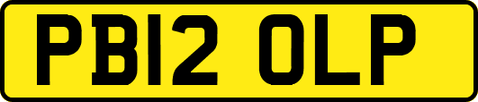 PB12OLP