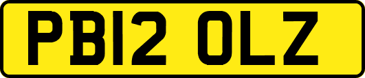 PB12OLZ