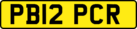 PB12PCR